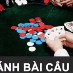 Bí kíp chơi bài Câu Cá